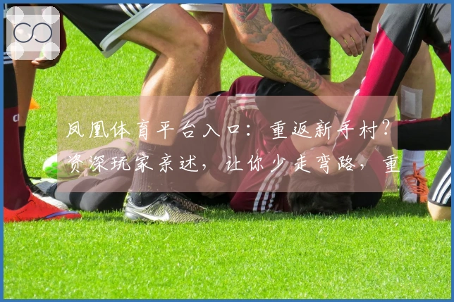 凤凰体育平台入口：重返新手村？资深玩家亲述，让你少走弯路，重拾游戏初心！