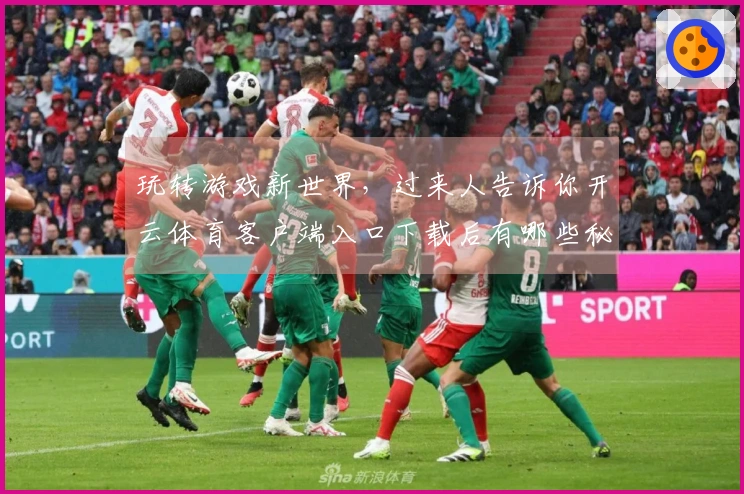 玩转游戏新世界，过来人告诉你开云体育客户端入口下载后有哪些秘密技巧不容错过