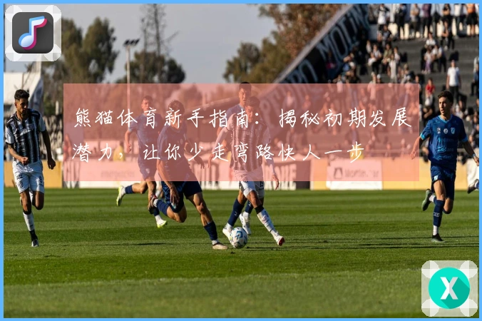 熊猫体育新手指南：揭秘初期发展潜力，让你少走弯路快人一步