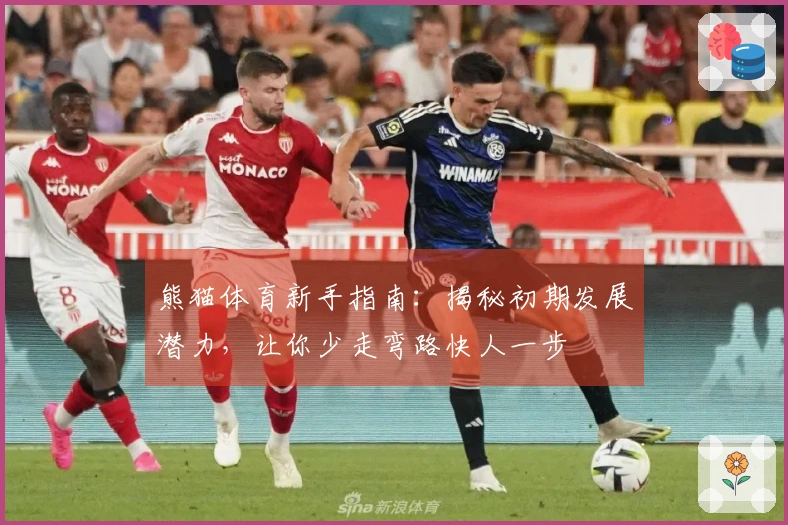 熊猫体育新手指南：揭秘初期发展潜力，让你少走弯路快人一步